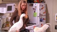 Friends | Image Source: NBC